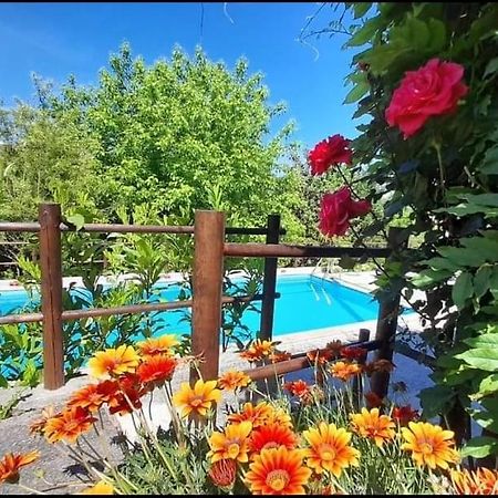 Casa Da Vovo Villa อามารังติ ภายนอก รูปภาพ