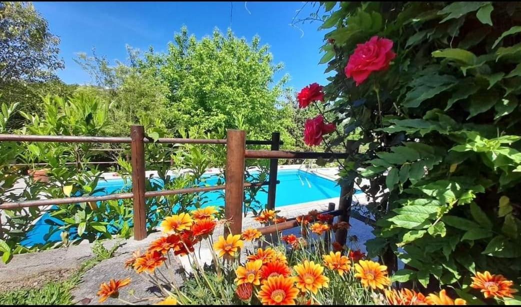 Casa Da Vovo Villa อามารังติ ภายนอก รูปภาพ